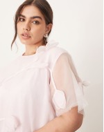 Curve organza floral applique maxi dress in light pink